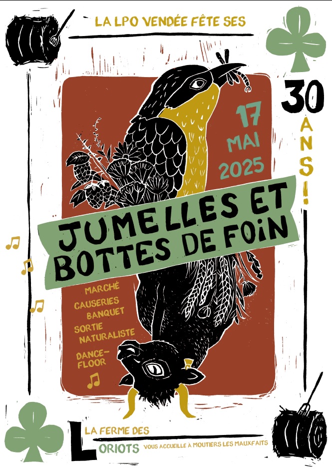 Jumelles et bottes de foin - bal folk 