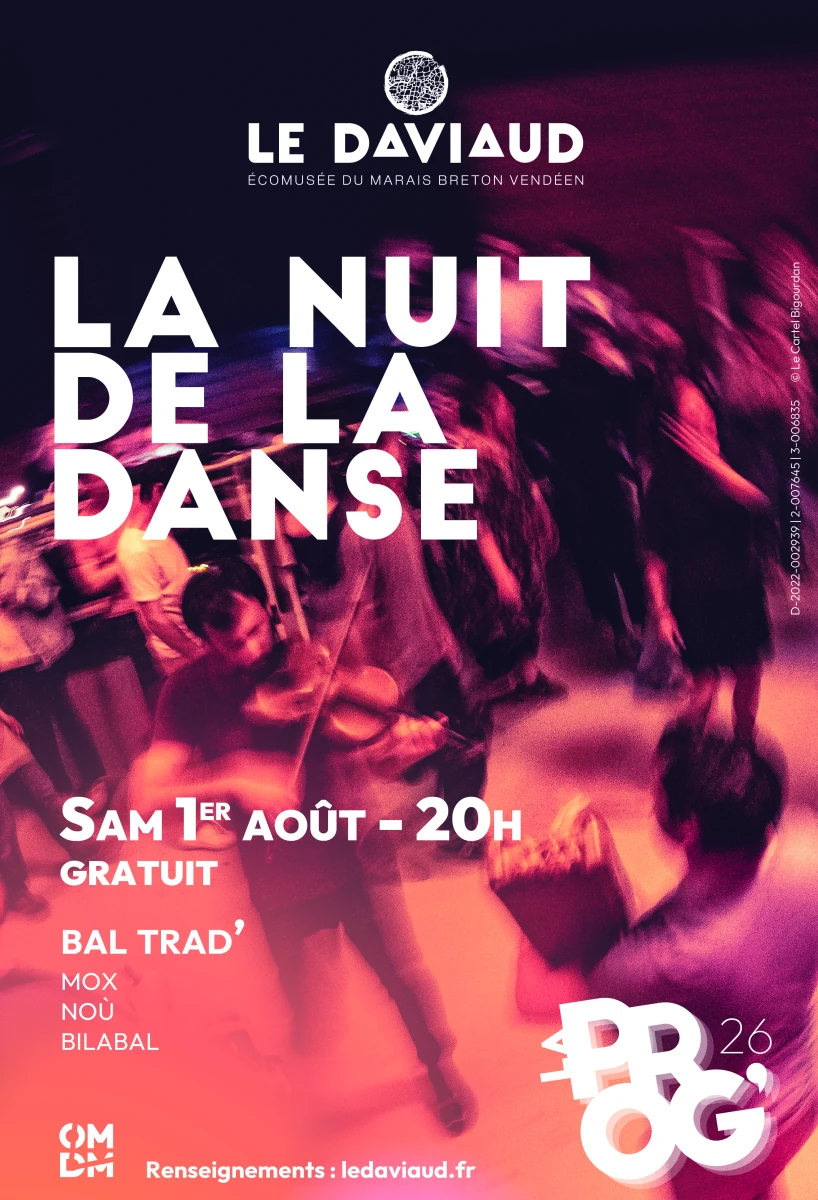 Nuit de la danse - Le grand bal du Daviaud ! 